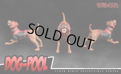 画像3: Toys Era　1/6　DOG-POOL　ドッグプール　TE014　*お取り寄せ