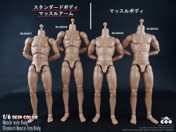 画像1: COOMODEL　1/6　男性素体　スタンダードボディ マッスルアーム　標準（BD007）/高身長（BD008） *お取り寄せ