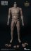 画像6: WORLD BOX　1/6　デュラブル男性素体　中年体型ボディ　ダッドボッド　ヘッドなし　AT013　*お取り寄せ　