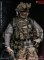 画像3: DAMTOYS 1/6 エリートシリーズ KSK ドイツ陸軍特殊作戦コマンド リーダー フィギュア 78054 *予約