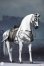 画像2: POPTOYS 1/6 Saint Knight - War Horse 軍馬 戦馬 白馬 ジャンヌ・ダルク フィギュア EX019-C *予約