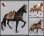 画像1: JSModel 1/6 戦馬 with 馬具 セット RN001/RN002/RN003 *お取り寄せ  (1)