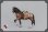 画像17: JSModel 1/6 戦馬 with 馬具 セット RN001/RN002/RN003 *お取り寄せ 
