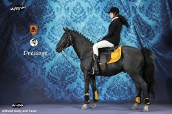 画像14: Mr.Z x MULTIFUN 1/6 女性騎手 & 乗馬 アウトフィット & アクセサリー セット MF004A *お取り寄せ