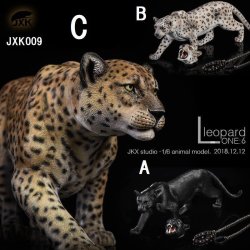 画像1: JxK.Studio　1/6　豹　パンサー　3種　xK009　*お取り寄せ