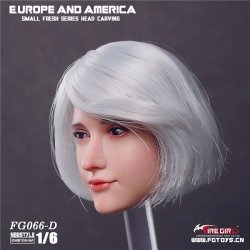 画像1: Fire Girl Toys 1/6 FG066-D European and American sweet women ホワイトヘアー  *お取り寄せ