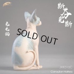 画像12: JxK.Studio　1/6　スフィンクス キャット  3種　JxK010　*お取り寄せ
