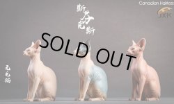 画像20: JxK.Studio　1/6　スフィンクス キャット  3種　JxK010　*お取り寄せ