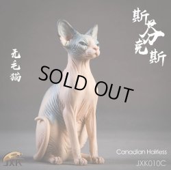 画像15: JxK.Studio　1/6　スフィンクス キャット  3種　JxK010　*お取り寄せ