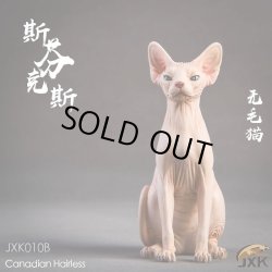 画像11: JxK.Studio　1/6　スフィンクス キャット  3種　JxK010　*お取り寄せ