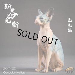 画像13: JxK.Studio　1/6　スフィンクス キャット  3種　JxK010　*お取り寄せ