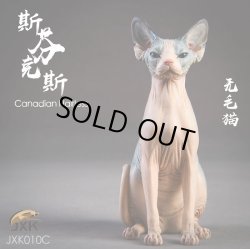 画像14: JxK.Studio　1/6　スフィンクス キャット  3種　JxK010　*お取り寄せ