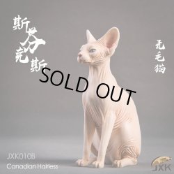 画像7: JxK.Studio　1/6　スフィンクス キャット  3種　JxK010　*お取り寄せ