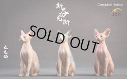 画像18: JxK.Studio　1/6　スフィンクス キャット  3種　JxK010　*お取り寄せ