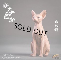 画像4: JxK.Studio　1/6　スフィンクス キャット  3種　JxK010　*お取り寄せ