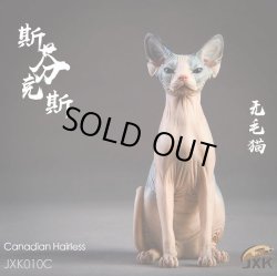 画像16: JxK.Studio　1/6　スフィンクス キャット  3種　JxK010　*お取り寄せ