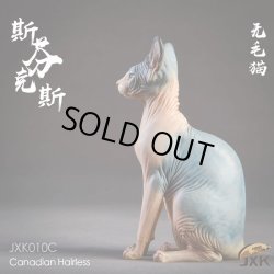画像17: JxK.Studio　1/6　スフィンクス キャット  3種　JxK010　*お取り寄せ