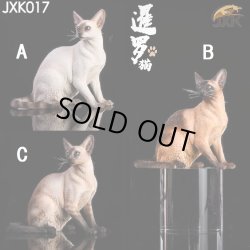 画像1: JxK Studio 1/6 シャム猫 お座り 3種 JxK017 *お取り寄せ