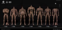画像12: World Box 1/6 デュラブル男性素体 スリム ボディ ヘッドなし AT020 *お取り寄せ 