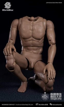 画像4: World Box 1/6 デュラブル男性素体 スリム ボディ ヘッドなし AT020 *お取り寄せ 