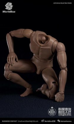 画像3: World Box 1/6 デュラブル男性素体 スリム ボディ ヘッドなし AT020 *お取り寄せ 