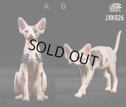 画像1: JxK.Studio 1/6 タトゥー スフィンクス ヘアレス キャット 猫 2種 Jxk026 *お取り寄せ