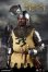 画像6: COOMODEL 1/6 イングランド 騎士 バロン ナイト Baron Knight アクションフィギュア SE066 *予約