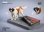 画像1: JxK Studio 1/12 セント・バーナード 犬 with ジオラマスタンド 2種 JKX041 *お取り寄せ (1)