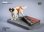 画像2: JxK Studio 1/12 セント・バーナード 犬 with ジオラマスタンド 2種 JKX041 *お取り寄せ