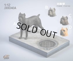 画像1: JxK Studio 1/12 イタリアン・コルソ・ドッグ カネコルソ 犬 with ジオラマスタンド 4種 JKX040 *お取り寄せ