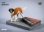画像3: JxK Studio 1/12 セント・バーナード 犬 with ジオラマスタンド 2種 JKX041 *お取り寄せ