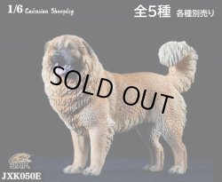 画像1: JxK Studio 1/6 コーカシアン・シープドッグ Caucasian Sheepdog 5種 JXK050 *お取り寄せ