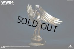 画像7: Queen Studios 1/4 『ワンダーウーマン 1984』ワンダーウーマン/ ダイアナ・プリンス/ ガル・ガドット 全身スタチュー *予約