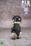 画像17: FigureBase 香港警察機動部隊 ”PTU” Police Tactical Unit アクションフィギュア 4種 TM014 *予約