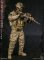 画像10: DAMTOYS 1/6 米海軍特殊部隊 ネイビーシールズ SDVチーム1 - スナイパー ”レッド・ウィング作戦” in アフガニスタン アクションフィギュア 78085 *お取り寄せ