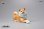 画像2: JxK Studio 1/6 柴犬 ≪伏せのポーズ≫ ボンボンカラー付き 4種 JXK066 *お取り寄せ (2)
