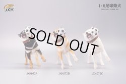 画像1: JxK Studio 1/6 柴犬とサッカーボール 3種 JXK072 *予約