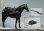 画像20: LongShanJinShu 1/6 ウエスタン 黒服の男 エド アクションフィギュア 黒馬 with 馬具セット LS2022-01AB *予約 (20)