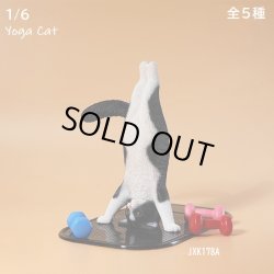 画像1: JxK Studio 1/6 ヨガ キャット 猫 ≪マット+バーベル付き≫ 5種 JXK138 *お取り寄せ