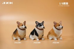 画像1: JxK Studio 1/6 ぽっちゃりコーギー犬 3種 JXK140 *予約