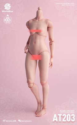 画像9: WORLD BOX 1/6 女性素体 ≪モデル体型≫ アクションフィギュア 2種 AT203 *お取り寄せ