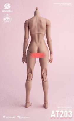 画像16: WORLD BOX 1/6 女性素体 ≪モデル体型≫ アクションフィギュア 2種 AT203 *お取り寄せ