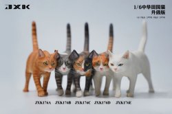 画像1: JxK Studio 1/6 ネコ 散歩猫 2.0 Ver. 5種 JXK176 *お取り寄せ