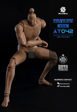 画像4: WORLD BOX 1/6 AT042 デュラブルボディ アジアン 男性素体 ボディ *お取り寄せ