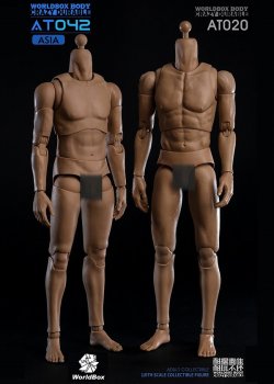 画像8: WORLD BOX 1/6 AT042 デュラブルボディ アジアン 男性素体 ボディ *お取り寄せ