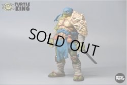 画像18: Turtle King ノンスケール TK-001 Turtle King Wandering Swordsman アクションフィギュア *予約