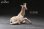 画像5: HEADCREST キリン 麒麟 11cm フィギュア H2301 *予約