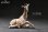 画像1: HEADCREST キリン 麒麟 11cm フィギュア H2301 *予約 (1)