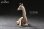 画像2: HEADCREST キリン 麒麟 11cm フィギュア H2301 *予約