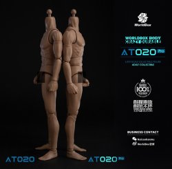 画像10: WORLD BOX 1/6 アップグレード 男性素体 AT020 Pro *お取り寄せ